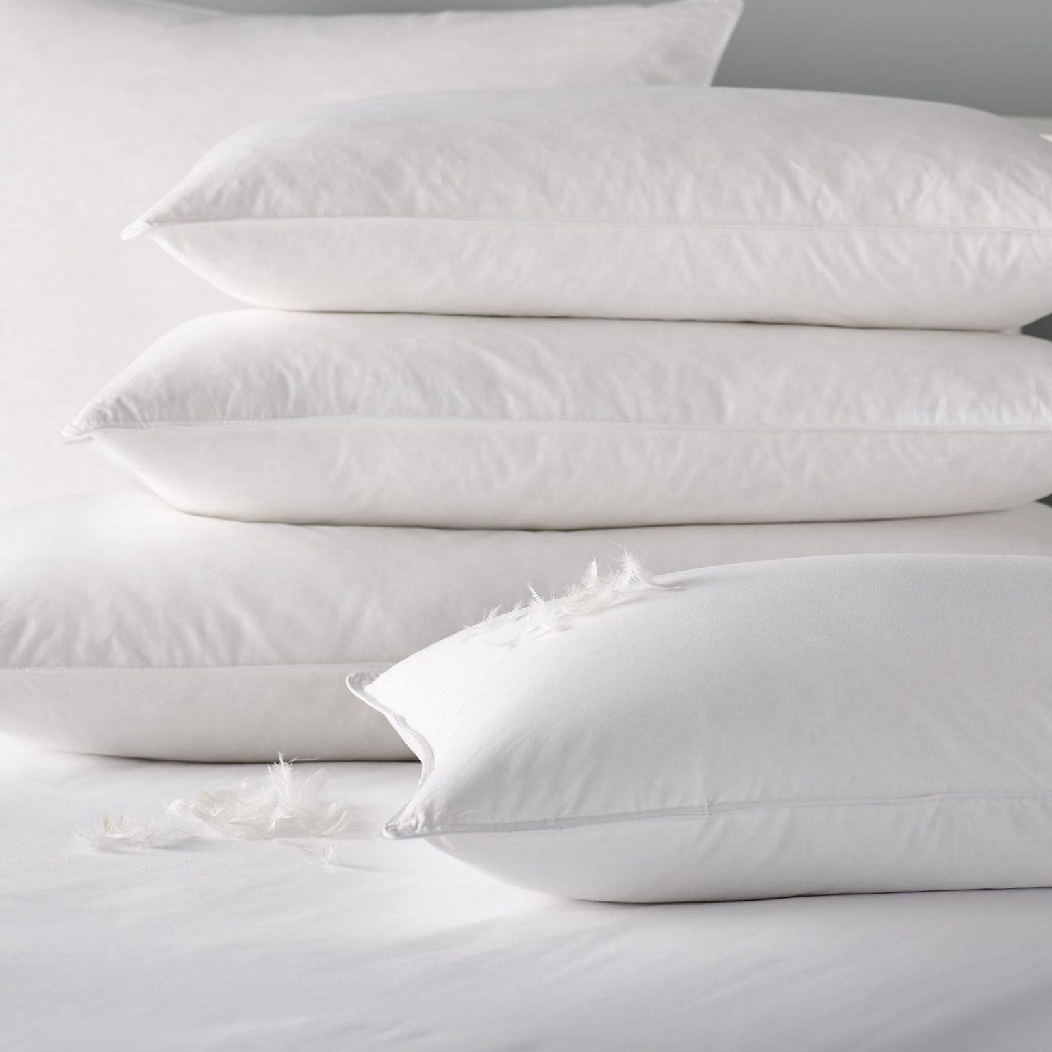 Hayleys Pillow Small – 16×24 thumbnail 3